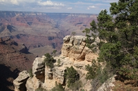 Grand Canyon 04 1